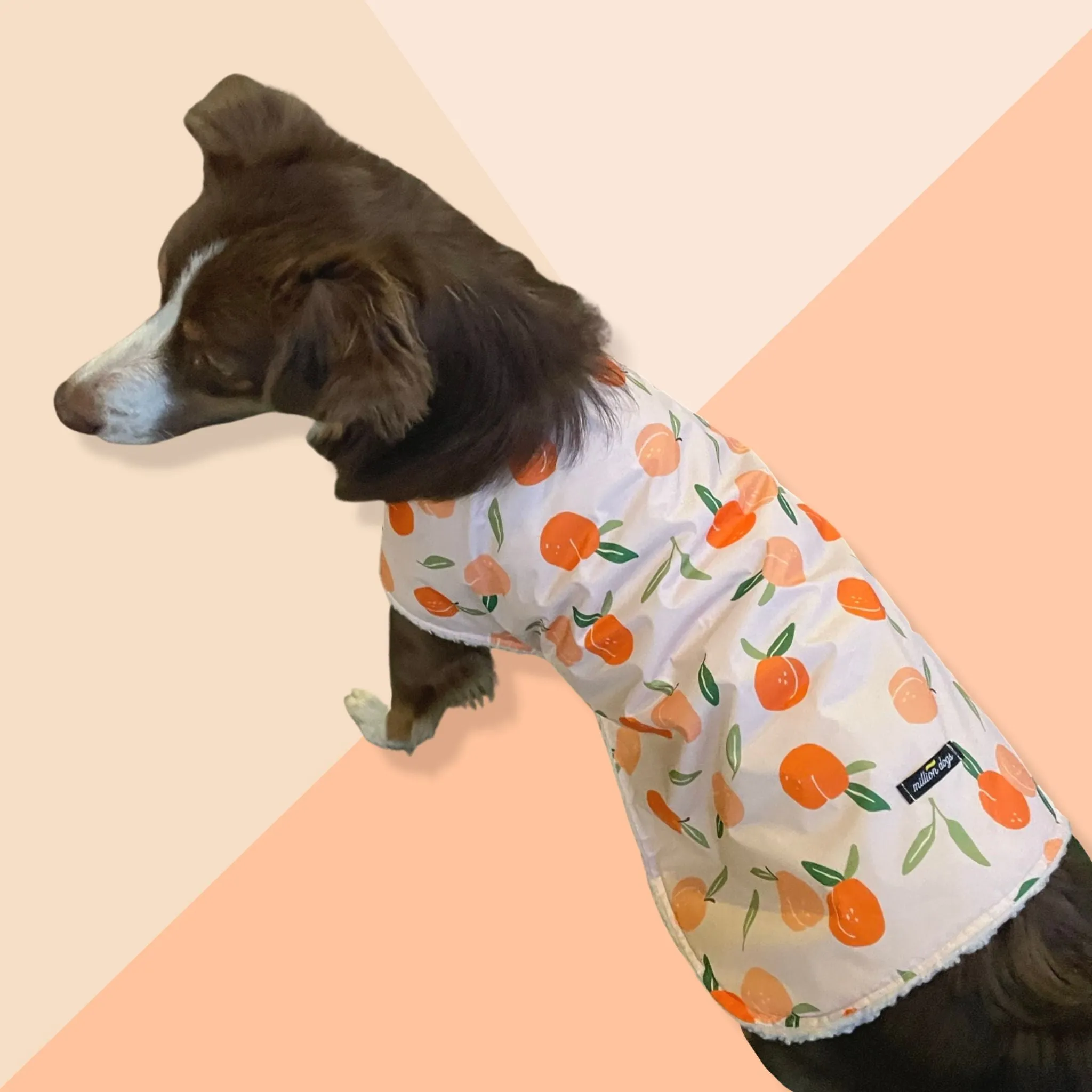 Sherpa Lined Windbreaker Dog Coat - Peach