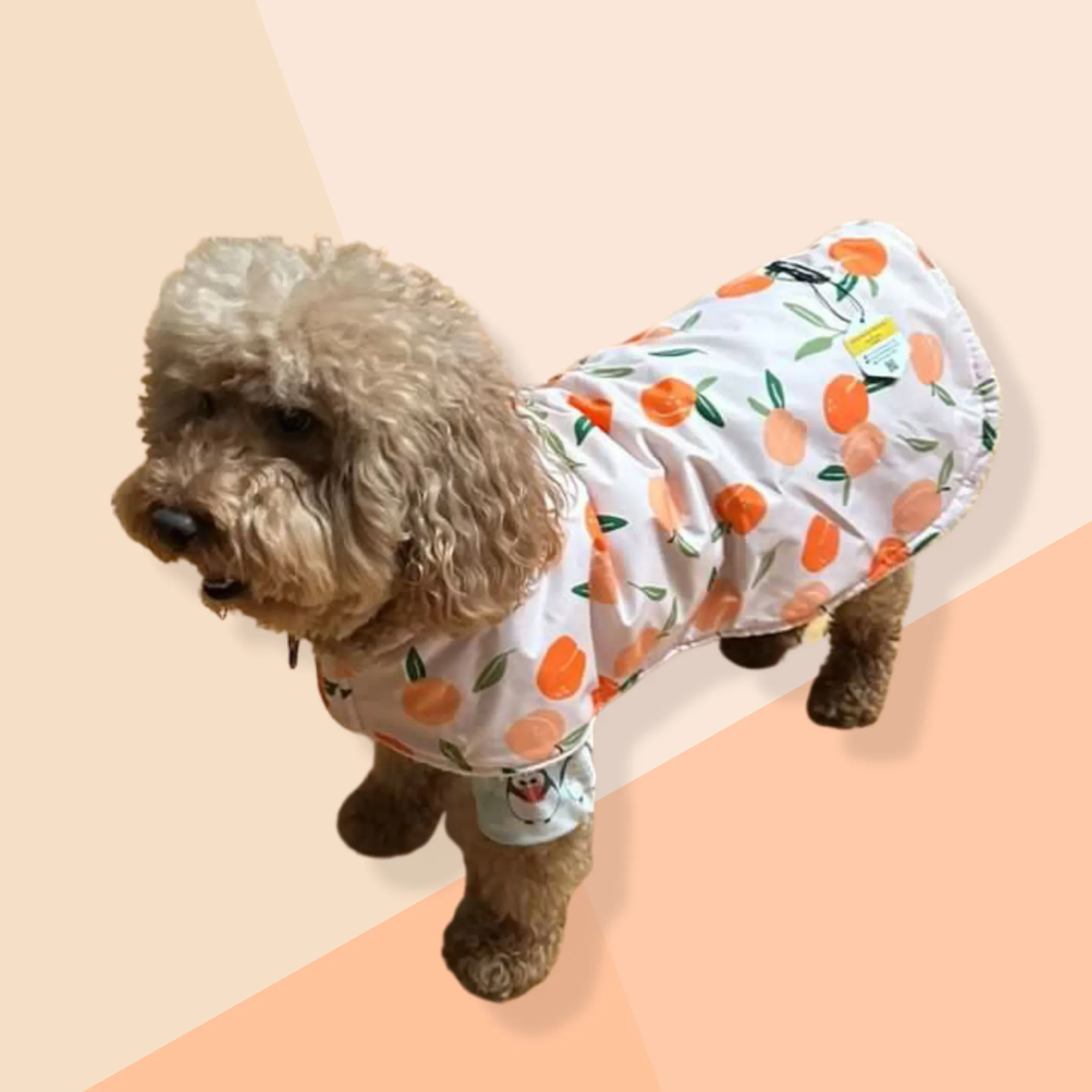 Sherpa Lined Windbreaker Dog Coat - Peach